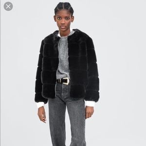 Zara | Jackets \u0026 Coats | Zara Short 
